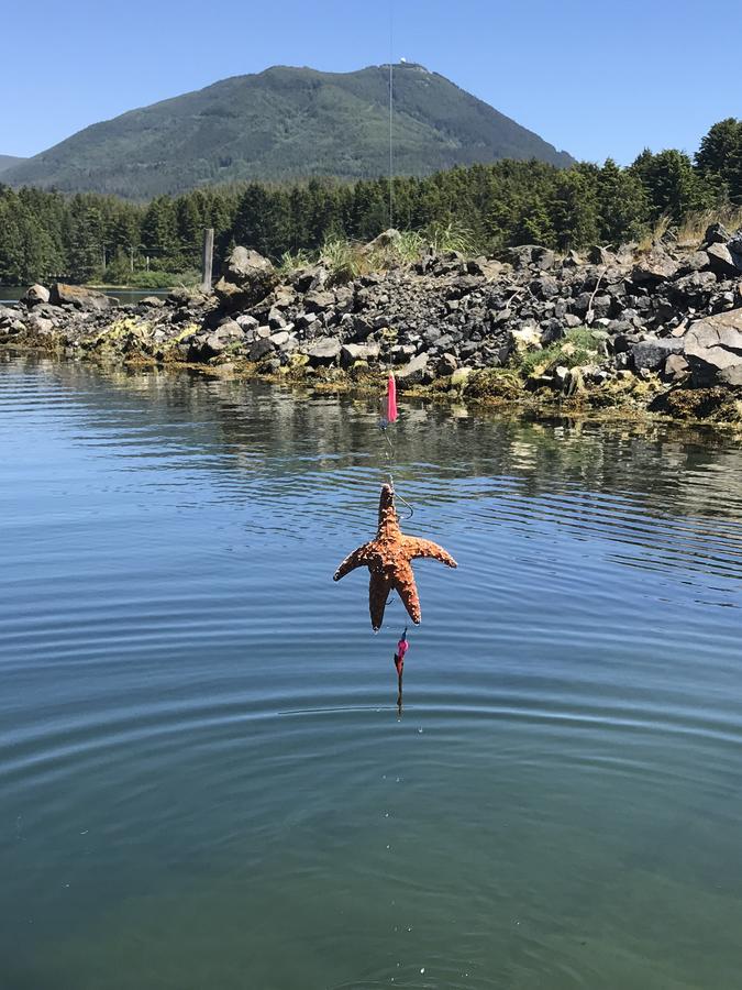 Island West Resort-Motel Ucluelet Dış mekan fotoğraf